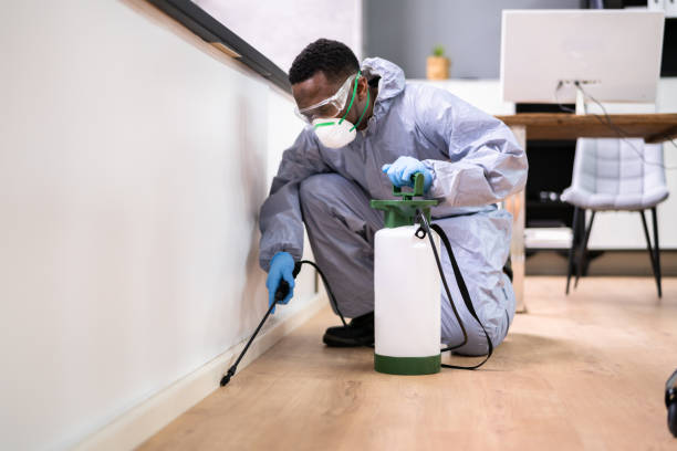 Best Pest Prevention Services  in Roosevelt Park, MI